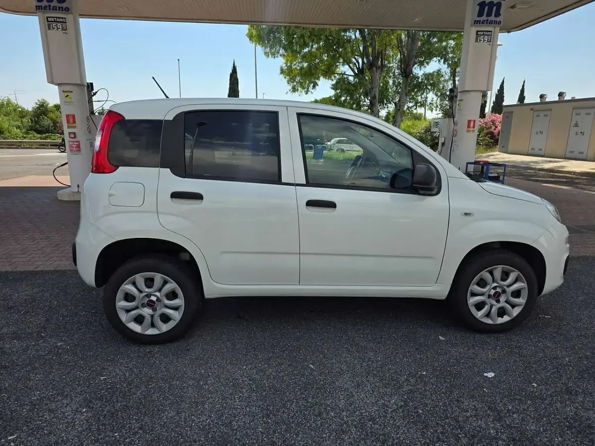 Usata Fiat Panda 80 CV (58 kW) 2019 Bianco Utilitaria