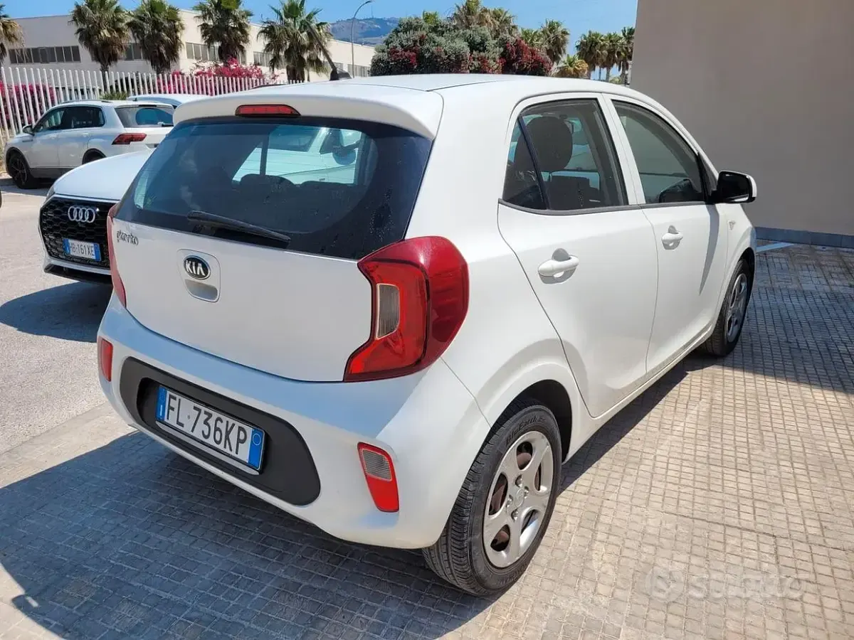 Usata Kia Picanto 67 CV (49 kW) 2018 Bianco Utilitaria