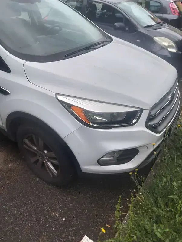 Usata Ford Kuga Titanium S 120 CV (88 kW) 2017 Bianco SUV