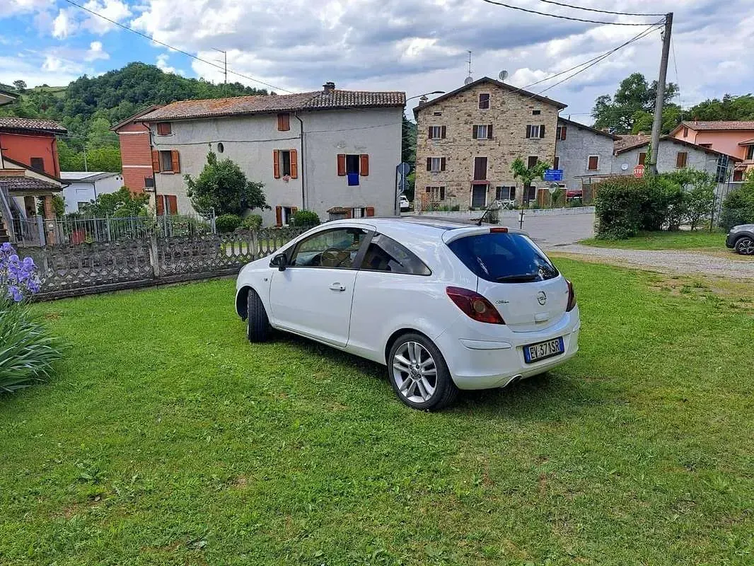 Usata Opel Corsa 75 CV (55 kW) 2014 Bianco Utilitaria