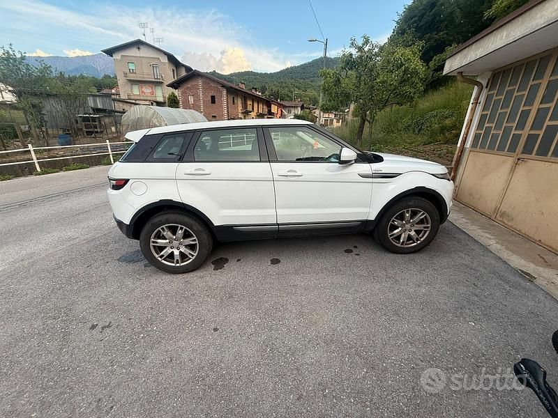 Usata Land Rover Range Rover evoque 190 CV (139 kW) 2014 Bianco SUV