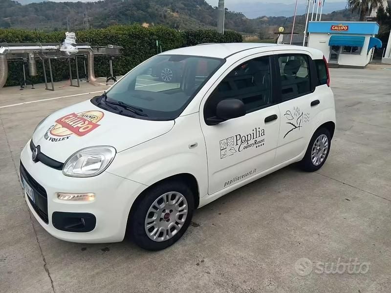 Usata Fiat Panda Easy 69 CV (50 kW) 2017 Bianco Utilitaria