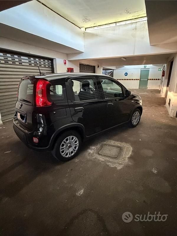 Usata Fiat Panda 69 CV (50 kW) 2024 Nero Utilitaria