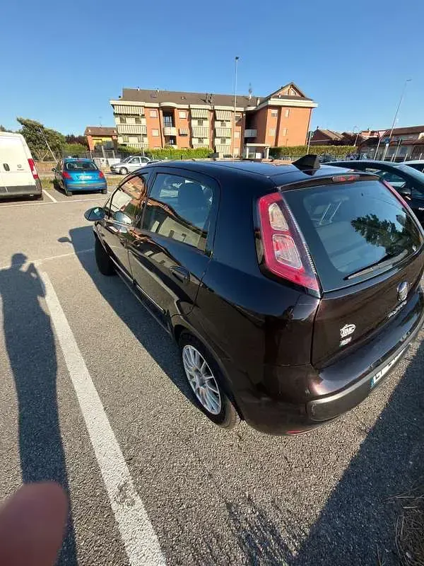 Usata Fiat Punto Evo Dynamic 69 CV (50 kW) 2010 Nero Utilitaria
