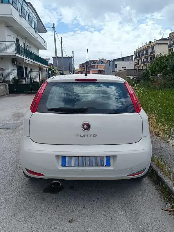 Usata Fiat Punto Lounge 77 CV (56 kW) 2016 Bianco Utilitaria