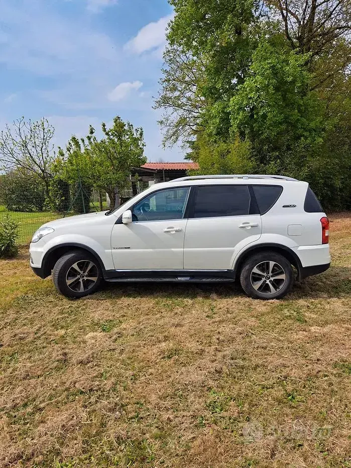 Usata SsangYong Rexton 178 CV (130 kW) 2016 Bianco SUV