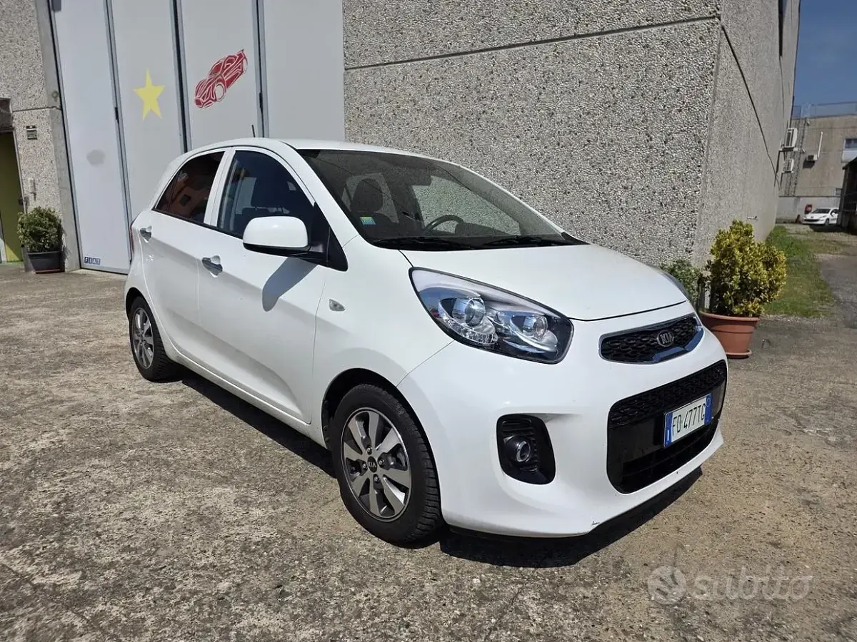 Usata Kia Picanto 66 CV (48 kW) 2016 Bianco Utilitaria