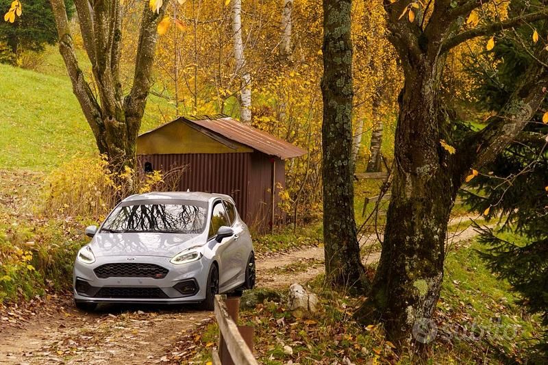 Usata Ford Fiesta ST 205 CV (150 kW) 2019 Grigio Utilitaria