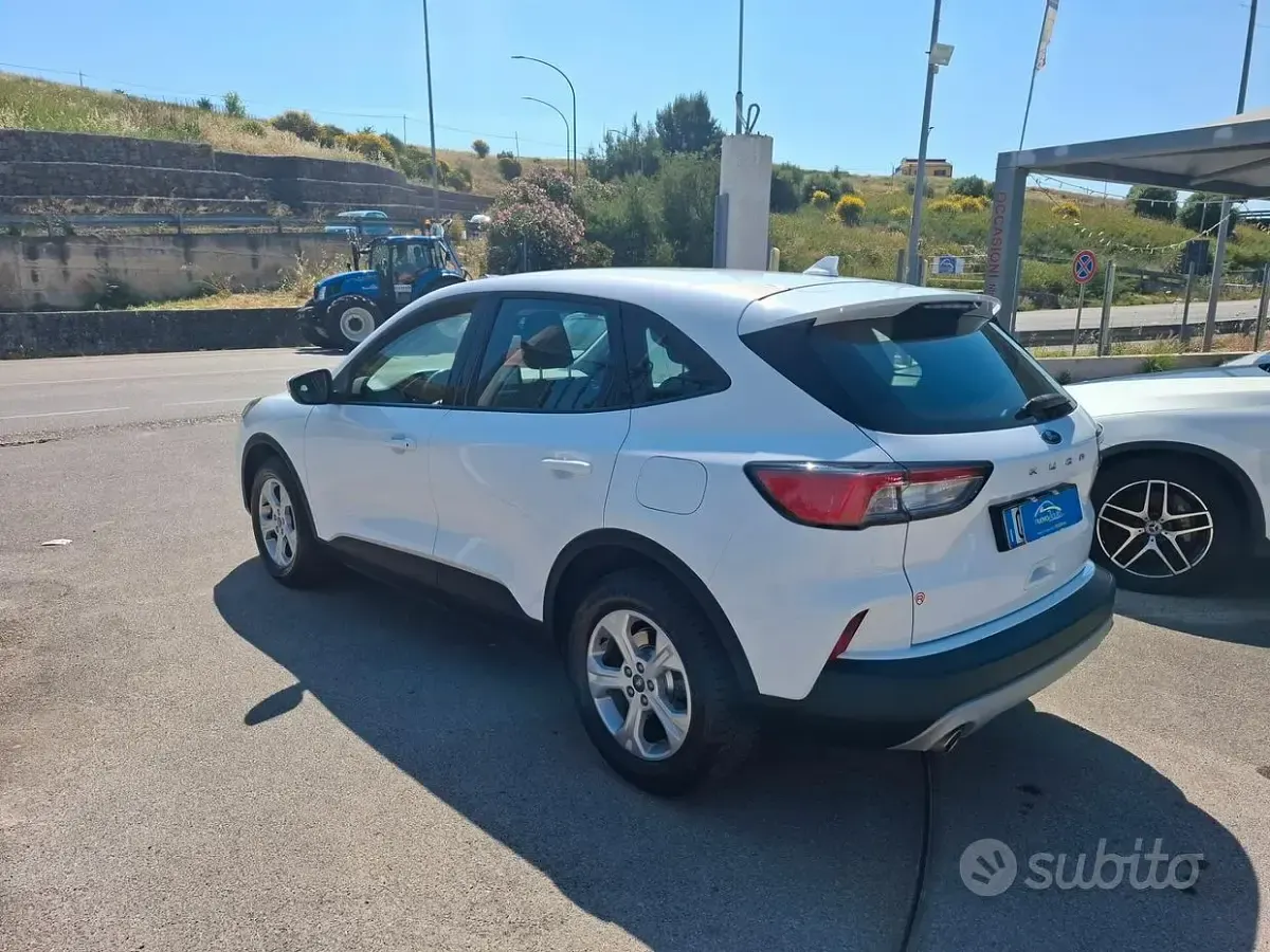 Usata Ford Kuga 120 CV (88 kW) 2022 Bianco SUV