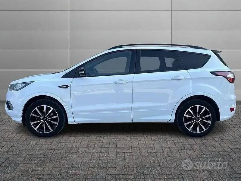 Usata Ford Kuga ST-Line 120 CV (88 kW) 2019 Bianco SUV