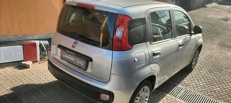Usata Fiat Panda Easy 69 CV (50 kW) 2018 Grigio Utilitaria