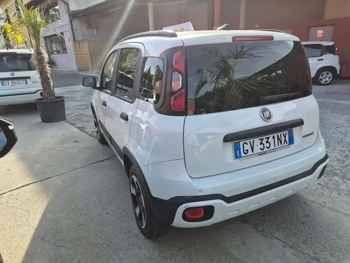 Usata Fiat Panda Cross Cross 69 CV (50 kW) 2024 Bianco Utilitaria