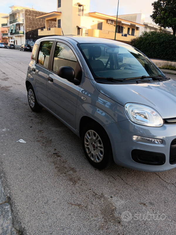 Usato 2019 Fiat Panda Benzin (7.399 €)