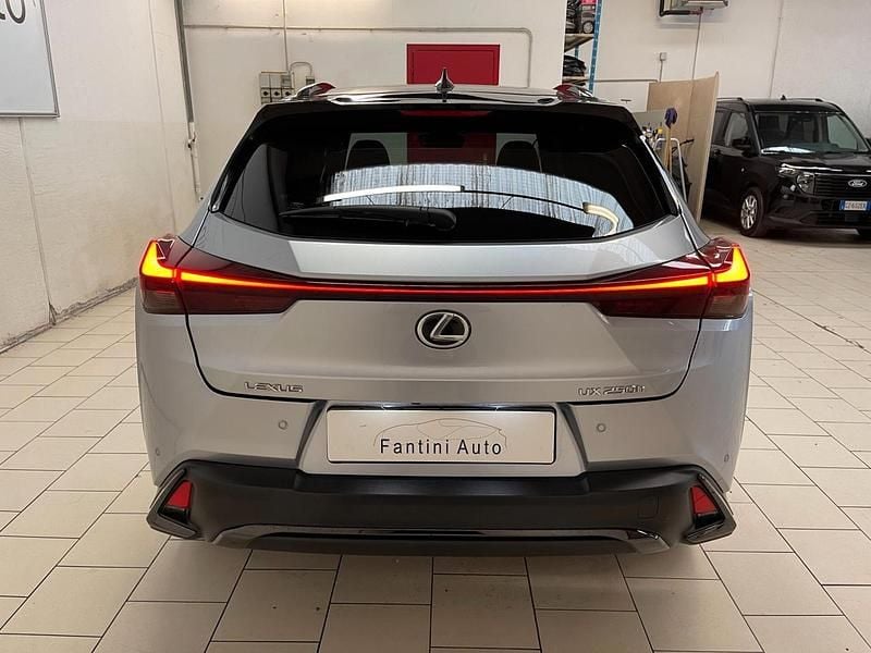 Usata Lexus UX 250h Sport Line 152 CV (111 kW) 2024 Grigio SUV