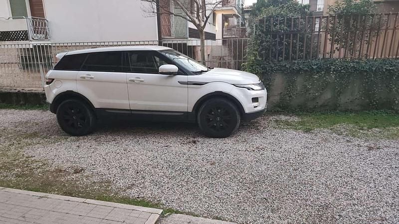 Usata Land Rover Range Rover evoque Dynamic 150 CV (110 kW) 2013 Bianco SUV
