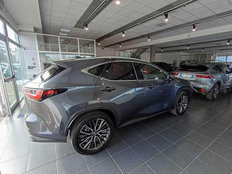Usata Lexus NX350h Luxury Line 243 CV (178 kW) 2023 Grigio SUV