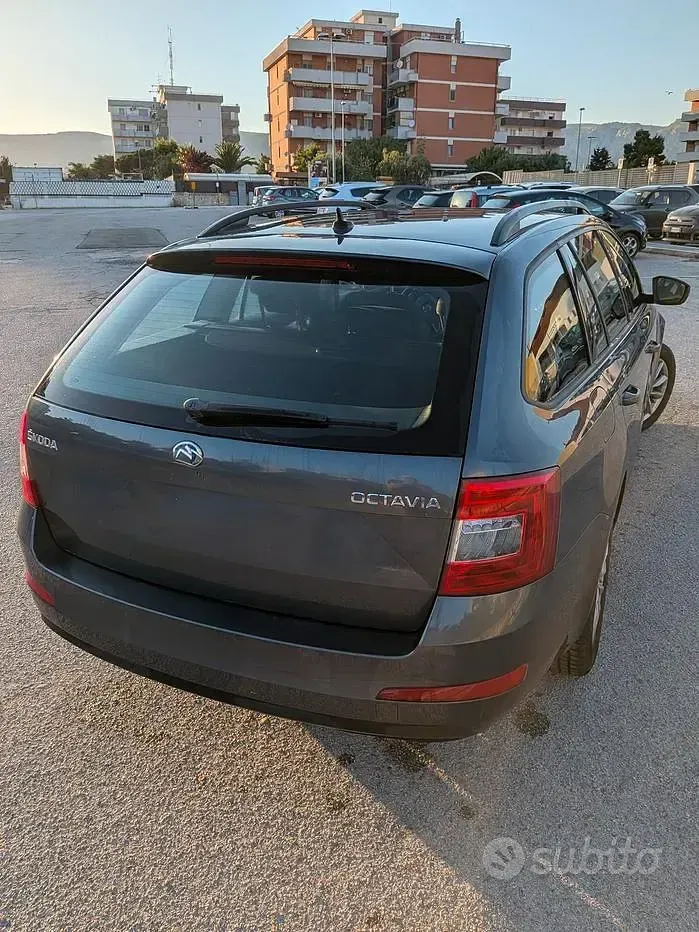 Usata Skoda Octavia 110 CV (80 kW) 2016 Verde Station wagon