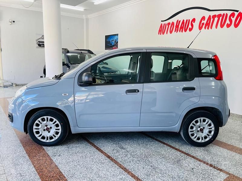 Usata Fiat Panda 69 CV (50 kW) 2018 Grigio Utilitaria