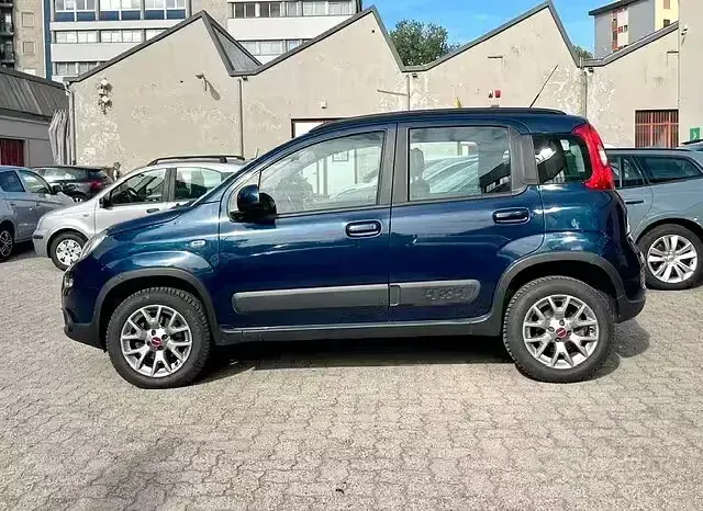Usata Fiat Panda 4x4 S 95 CV (69 kW) 2018 Bluazzurro Utilitaria