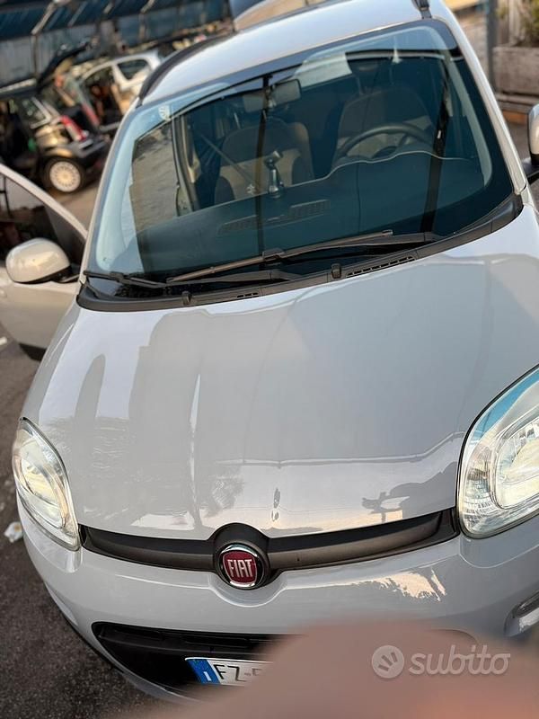 Usata Fiat Panda 69 CV (50 kW) 2019 Grigio Utilitaria