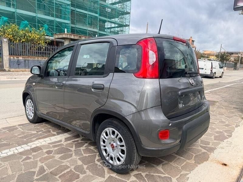 Usata Fiat Panda S 71 CV (52 kW) 2024 Gray Utilitaria