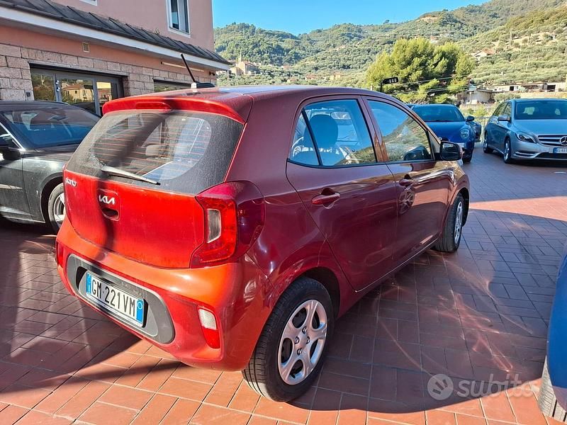 Usata Kia Picanto Urban 67 CV (49 kW) 2023 Arancione Utilitaria