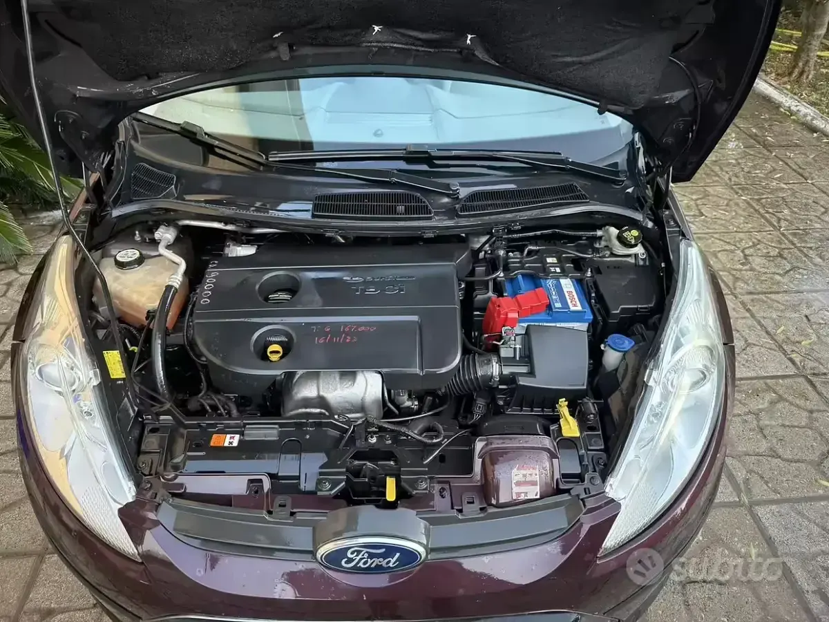 Usata Ford Fiesta 70 CV (51 kW) 2010 Marrone Berlina