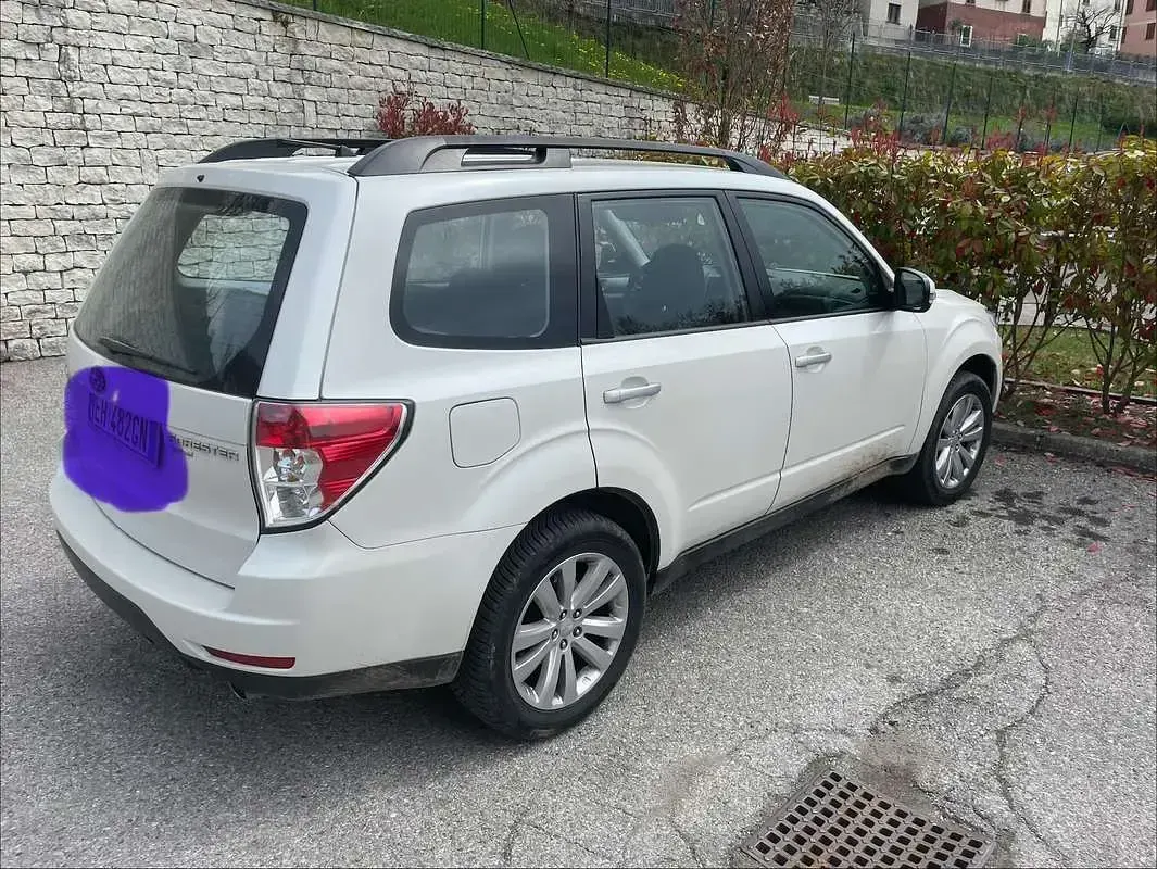 Usata Subaru Forester 150 CV (110 kW) 2011 Bianco SUV