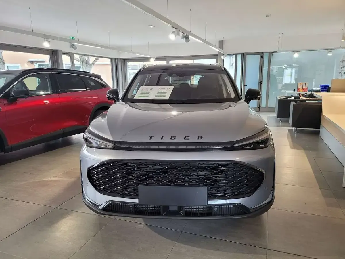Nuova Tiger Eight 175 CV (128 kW) 2026 Argento SUV