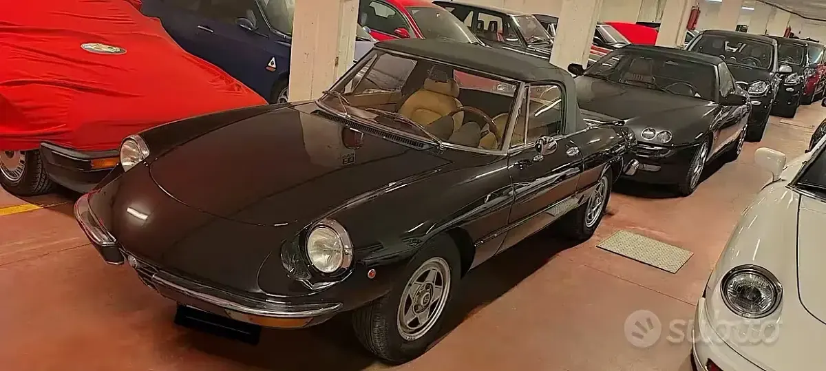 Usata Alfa Romeo Spider Veloce 131 CV (96 kW) 1982 Cabrio