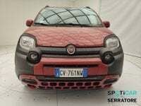 Usata Fiat Panda Cross Cross 70 CV (51 kW) 2024 Rosso Utilitaria