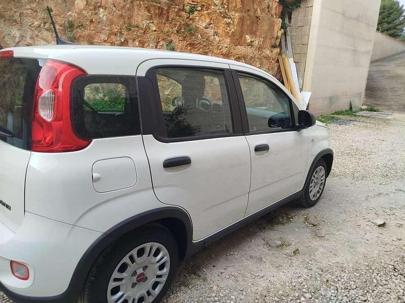 Usata Fiat Panda S 69 CV (50 kW) 2024 Bianco Utilitaria