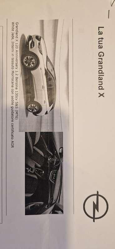 Usata 2019 Opel Grandland X S SUV | 16.500 € (Cara) - Immagine 1/4