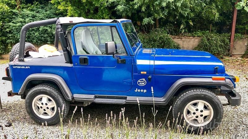 Usata Jeep Wrangler 184 CV (135 kW) 1995 Blu SUV