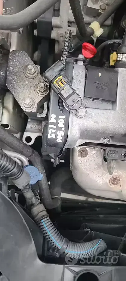 Usata Fiat Panda 4x4 Climbing 60 CV (44 kW) 2005 Grigio Utilitaria