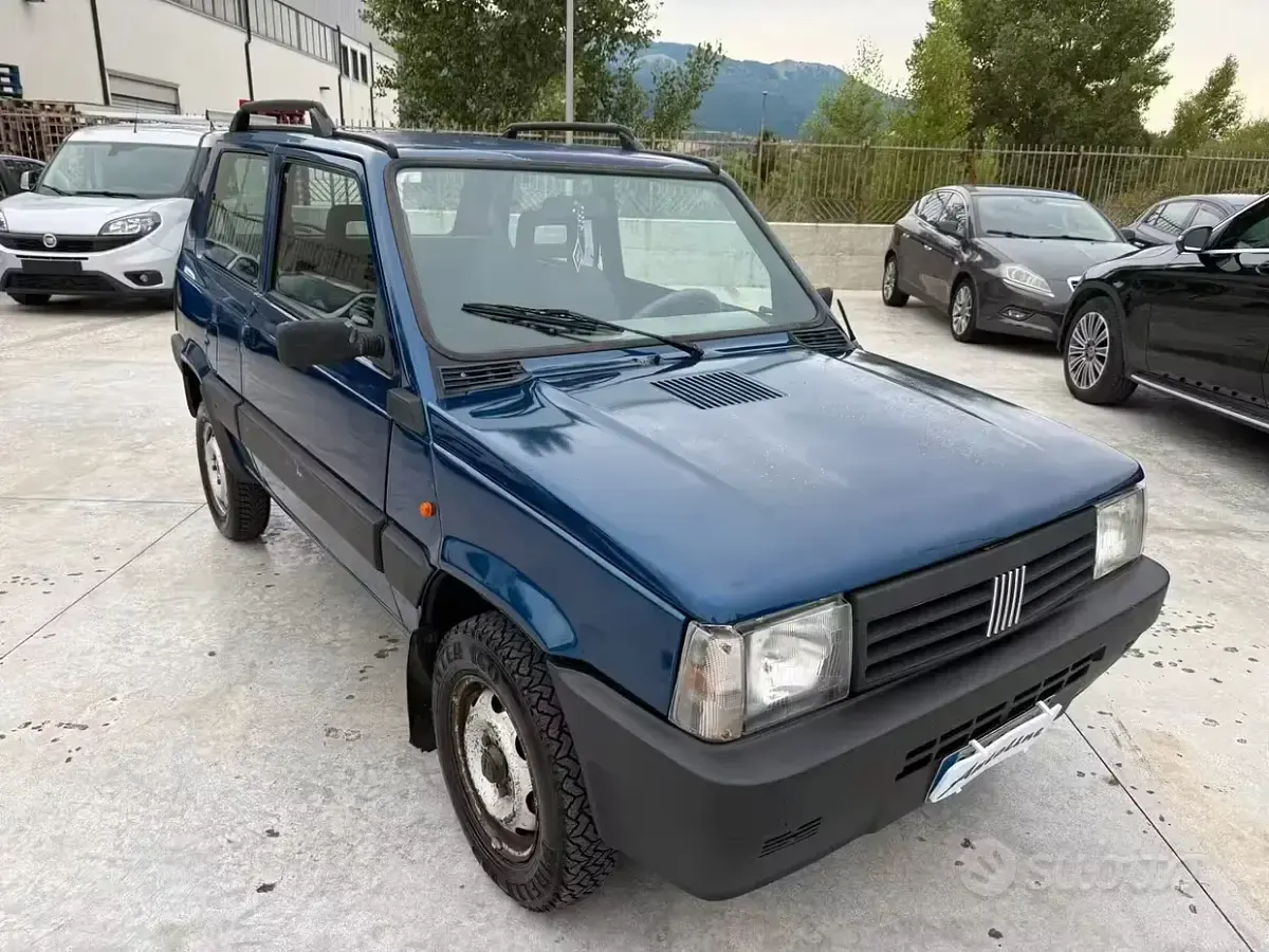 Usata Fiat Panda 4x4 Trekking 54 CV (39 kW) 2001 Blu Utilitaria