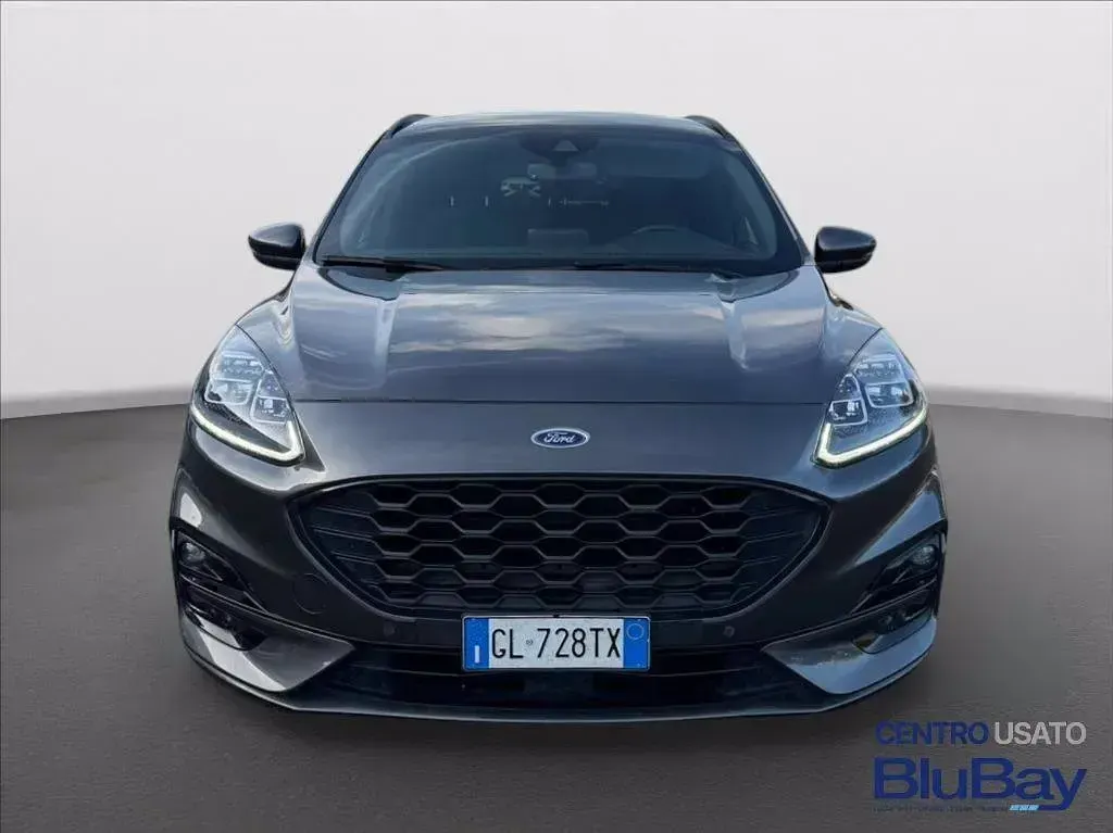 Usata Ford Kuga ST-Line X 225 CV (165 kW) 2023 Grigio SUV