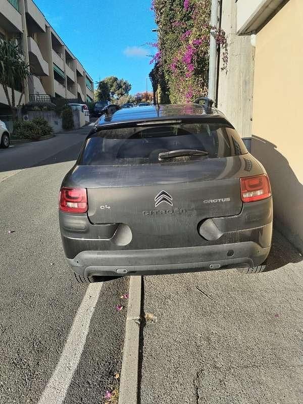 Usata Citroën C4 Cactus 99 CV (72 kW) 2015 Utilitaria