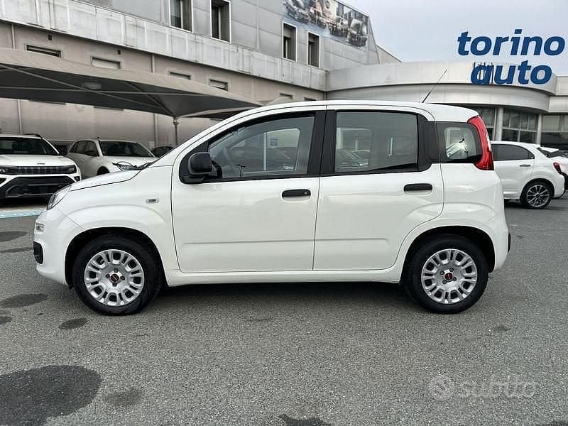 Usata Fiat Panda Easy 69 CV (50 kW) 2019 Bianco Berlina