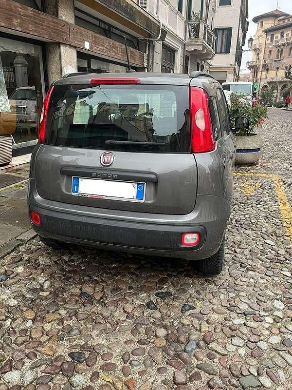 Usata Fiat Panda Lounge 69 CV (50 kW) 2020 Grigio Utilitaria