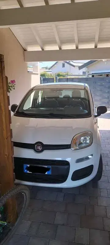 Usata Fiat Panda Easy 69 CV (50 kW) 2019 Utilitaria