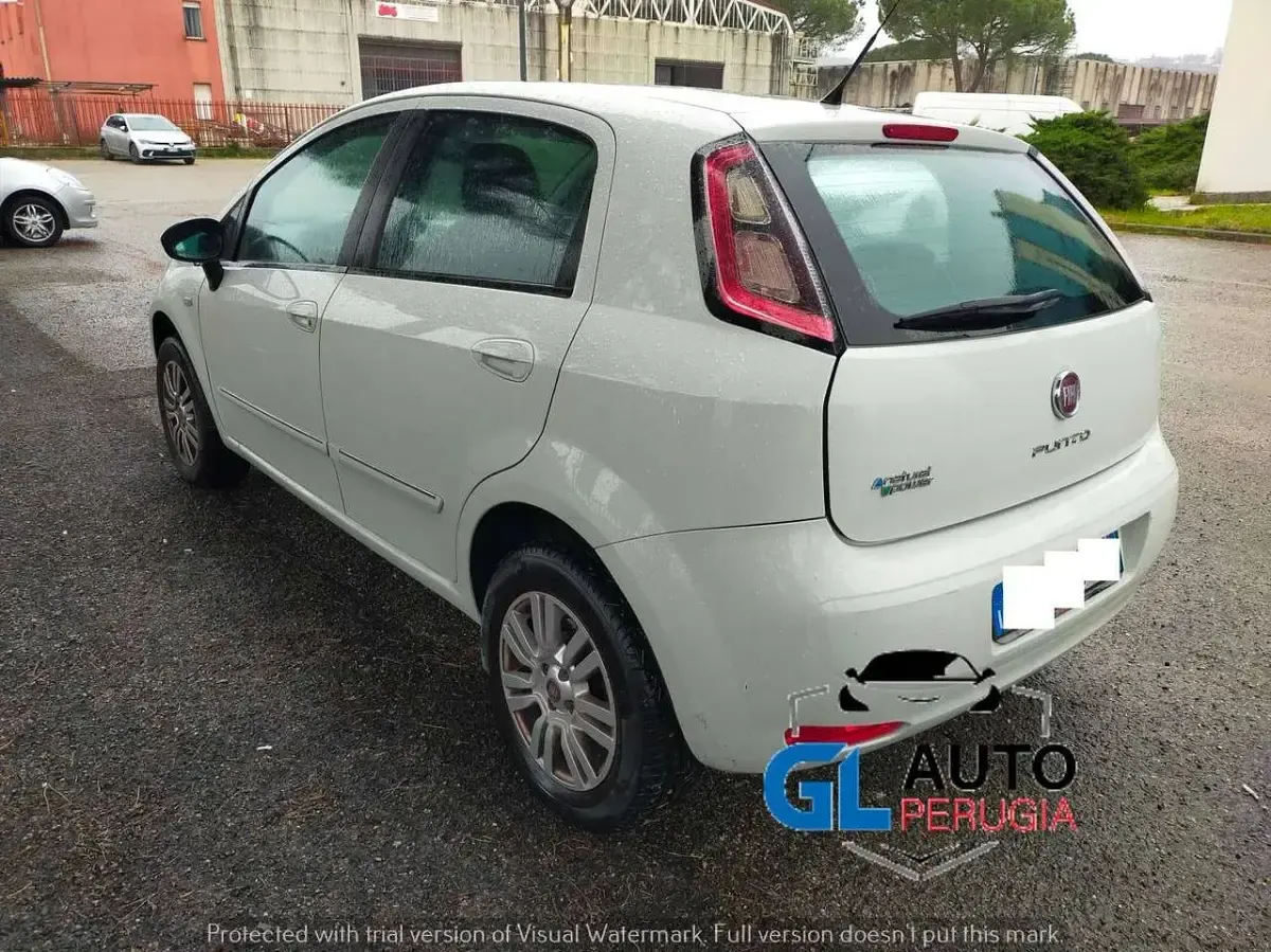Usata Fiat Punto 77 CV (56 kW) 2015 Bianco Utilitaria