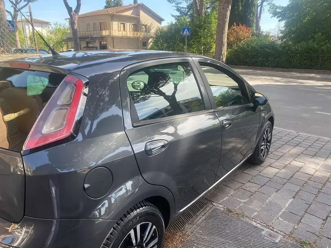 Usata Fiat Punto Evo Young 75 CV (55 kW) 2014 Utilitaria