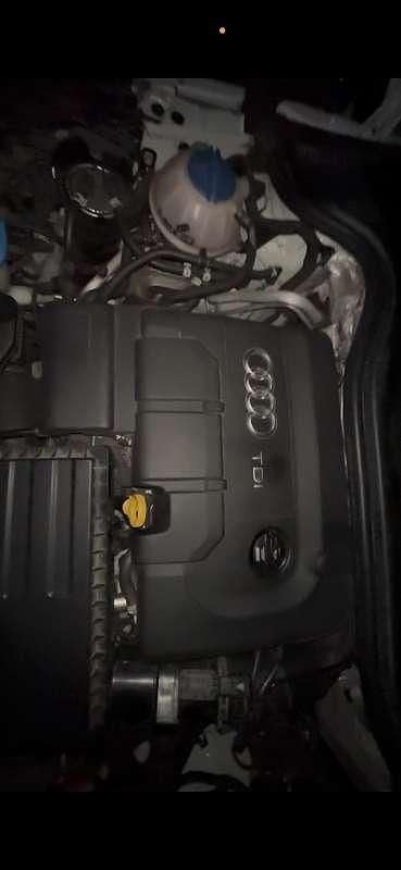 Usata Audi A1 Ambiente 90 CV (66 kW) 2015 Bianco Utilitaria