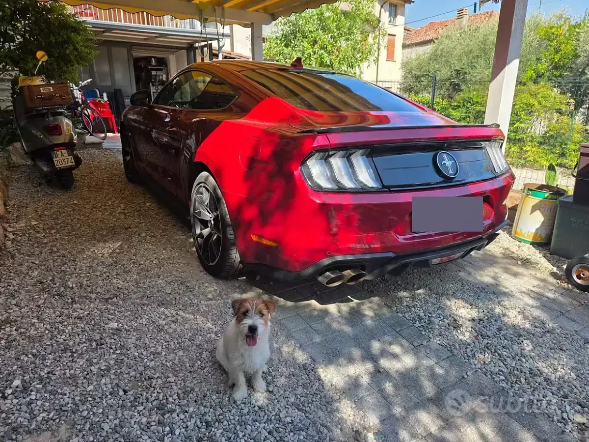 Usata Ford Mustang Fastback 291 CV (214 kW) 2020 Rosso Coupé