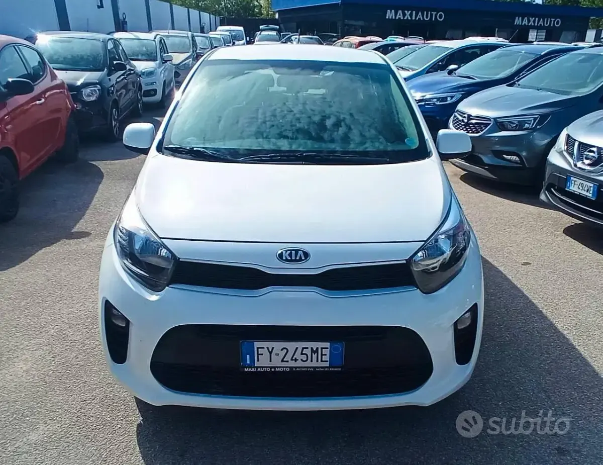 Usata Kia Picanto 67 CV (49 kW) 2020 Bianco Utilitaria