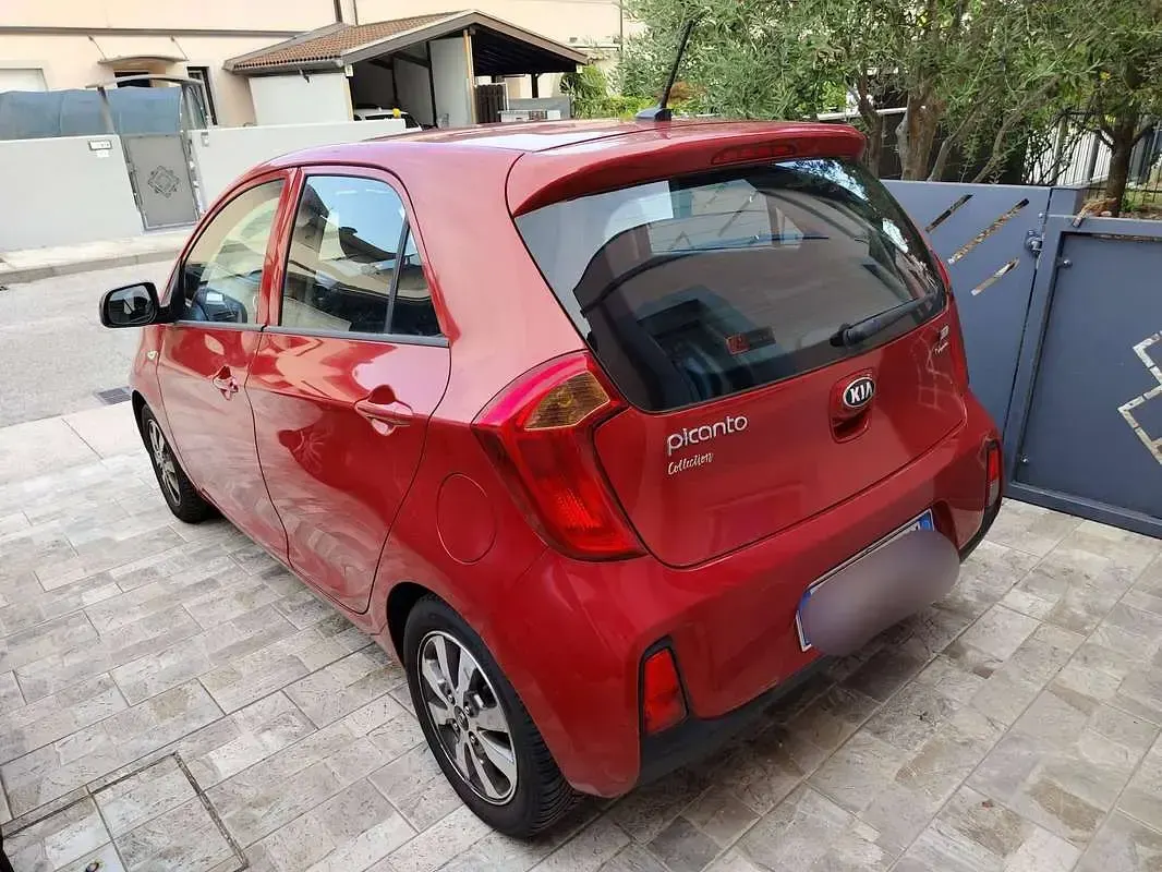 Usata Kia Picanto 68 CV (50 kW) 2016 Rosso Utilitaria
