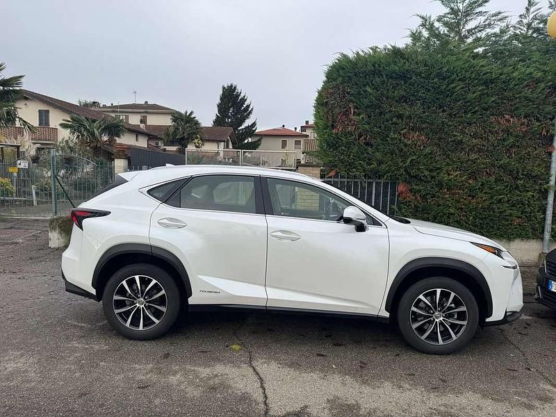 Usata Lexus NX300h Executive Line 155 CV (114 kW) 2017 Bianco SUV