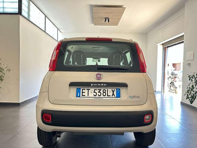 Usata Fiat Panda 80 CV (58 kW) 2014 Beige Utilitaria