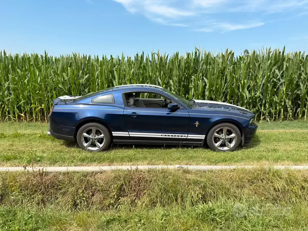 Usata Ford Mustang 212 CV (155 kW) 2010 Bluazzurro Coupé